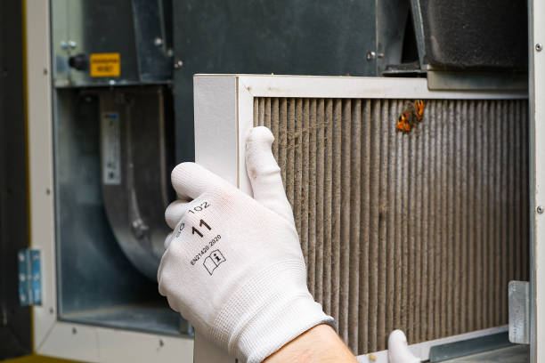 Best Home Air Vent Cleaning  in Elroy, NC
