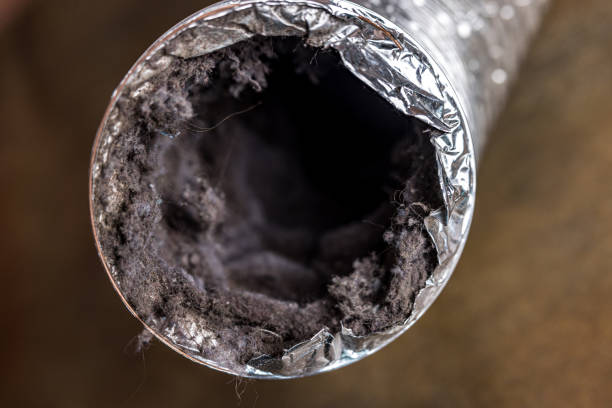 Best Local Air Duct Cleaning Services  in Elroy, NC